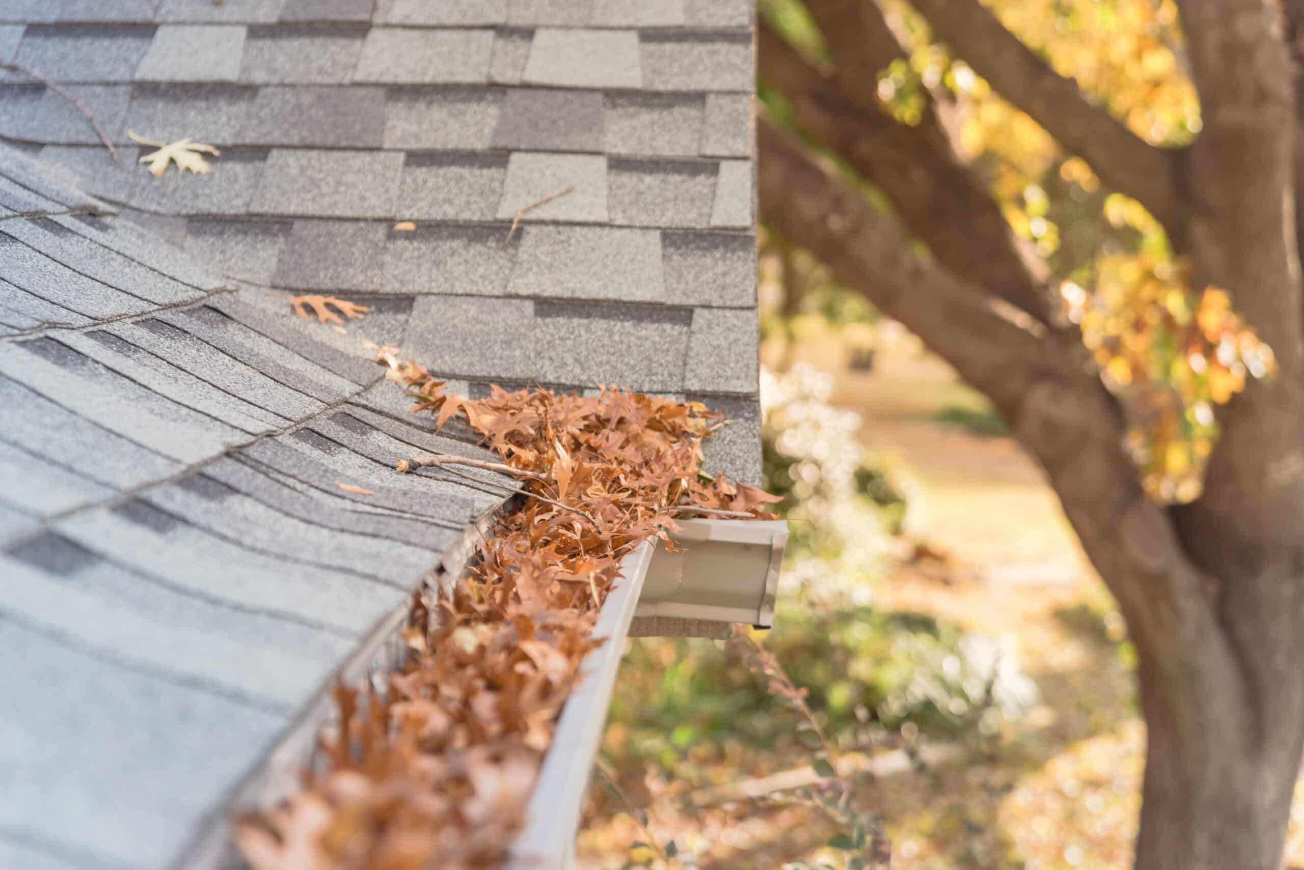 gutter cleaning