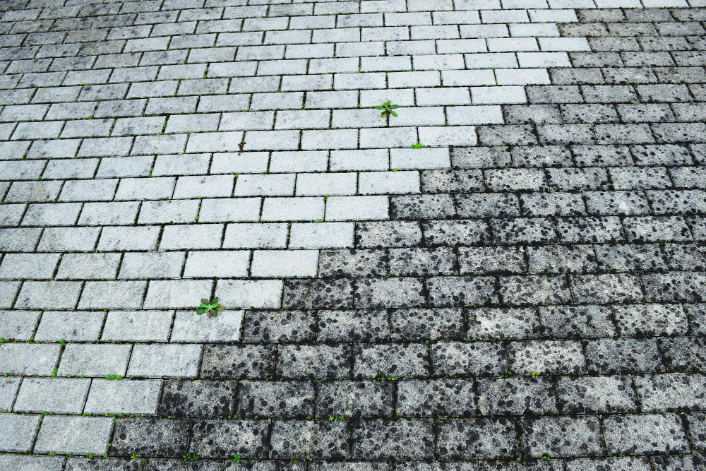 Before & After Driveway Pressure Washing Results You Must See