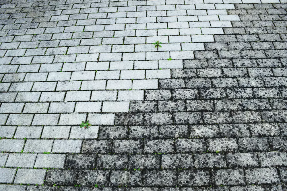 Before & After Driveway Pressure Washing Results You Must See