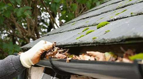 Gutter Cleaning