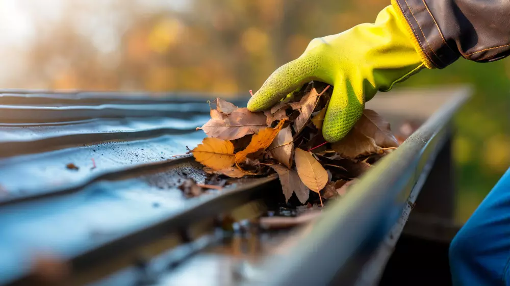 Why Regular Gutter Cleaning Service Prevents Costly Home Damage